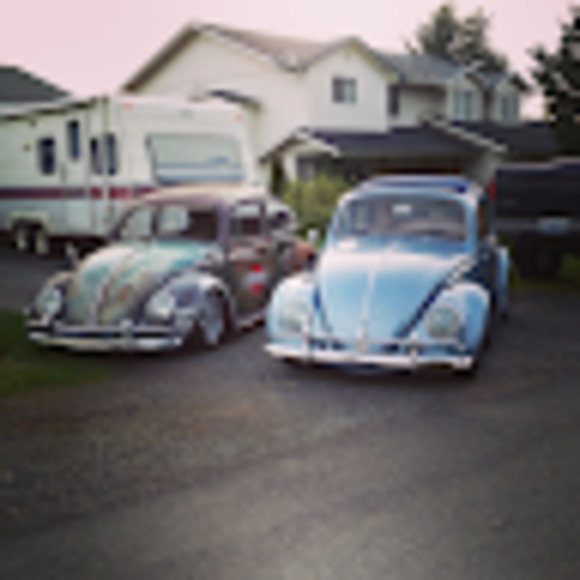 Meet your Posher, Larry - Picture 1 of 1